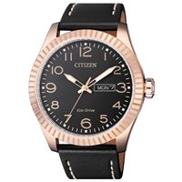 Armbanduhr Citizen Herr Eco Drive in Stahl BM8533-13E